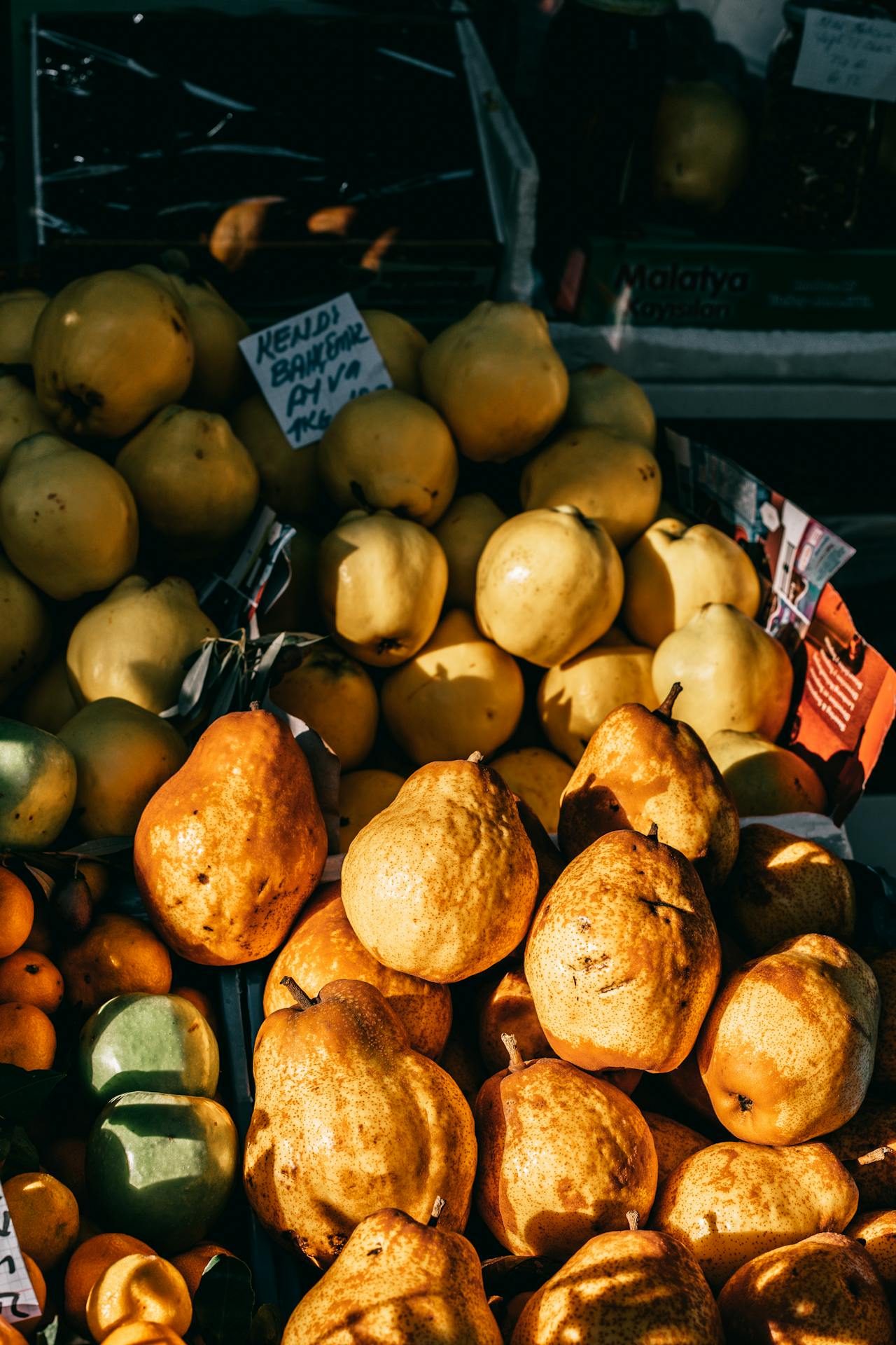 Gutuia: Fructul uitat cu proprietăți miraculoase pentru sănătate